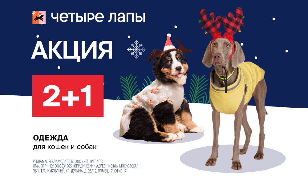 Акцию  «Одежда 2+1». 