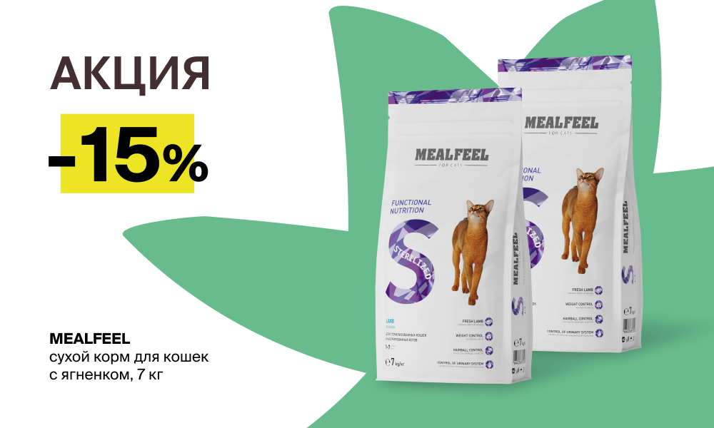  MEALFEEL: забота о вашем питомце со скидкой 15 % весь август «Четыре лапы»!